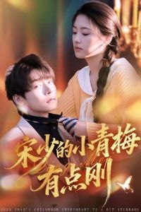 ���ٵ�С��÷�е��