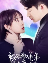 ���̹��ܵܳ�����