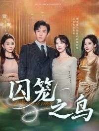 ����֮��